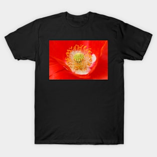 Red weed close-up T-Shirt